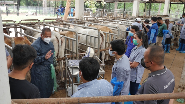 โครงการอบรมเชิงปฏิบัติการ เรื่อง การใช้อัลตร้าซาวด์ในระบบสืบพันธุ์โค (Ultrasonography in Cattle Reproduction)