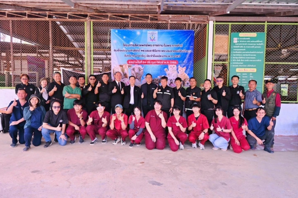 คณะสัตวแพทยศาสตร์ มข. ร่วมปฏิบัติงาน 