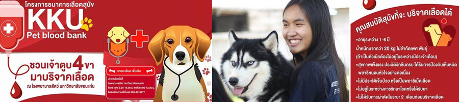 โครงการธนาคารเลือด