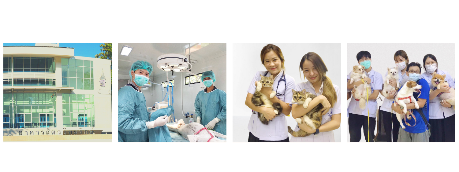 โรงพยาบาลสัตว์ คณะสัตวแพทยศาสตร์
